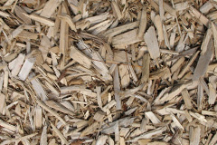 biomass boilers Wybers Wood